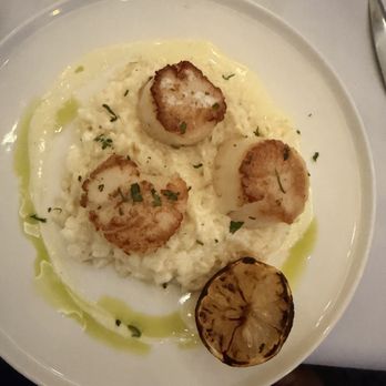 Dattilo Fine Italian - Scallops with risotto - Italian Near Me - Westbrook, Connecticut Dattilo Fine Italian - Scallops with risotto - Italian Near Me - Westbrook, Connecticut