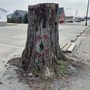 Shepherdsville Smiley Face Tree