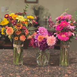 Sonoma Grey Barn Farm - The Flowers we picked....