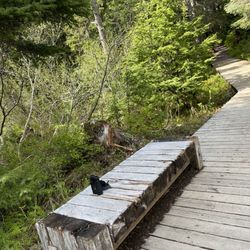 Winner Creek Trail