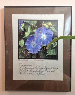 RUTH ALTAMURA-ROLL, MA, NCC, LPC - Updated June 2025 - 11 Photos - 26 ...