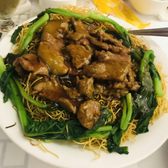 Photo of Ping's Seafood - New York, NY, United States. Cantonese classic -beef chow mean. Huge plate and not sitting in a pool of oil.  Truly the best in NYC imho.