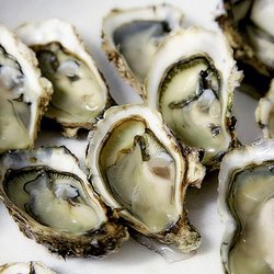 Petite Oysters