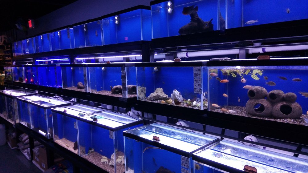 SEA LIFE FISH & AQUARIUMS 20 Reviews Local Fish Stores 5250 34th