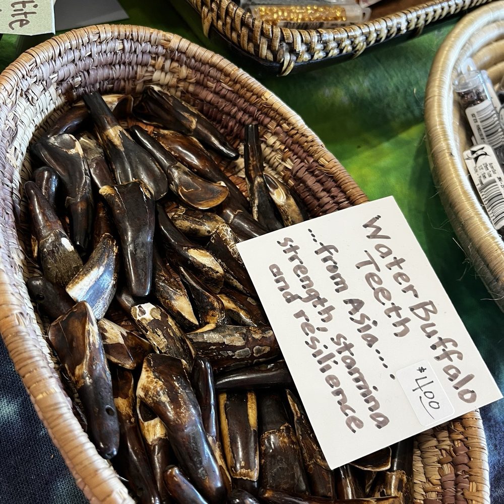 Waterlily Studio Florence - Even water buffalo teeth - Jewelry Near Me - Florence, Oregon Waterlily Studio Florence - Even water buffalo teeth - Jewelry Near Me - Florence, Oregon