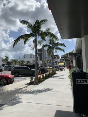 Moxy St. Petersburg Downtown by null