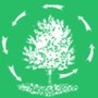 Photo of Romer Bros Tree & Shrub Service