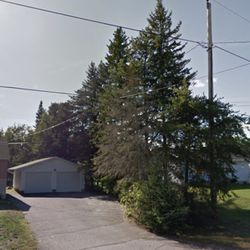 Juneau Tree Services - Cedars to be removed