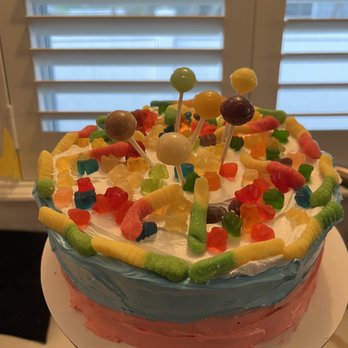 Marble Slab Creamery - Actual: Trip to the candy shoppe (what I actually received)! - Ice Cream & Frozen Yogurt Near Me - Jacksonville, Florida