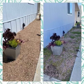 EdenView Gardening Services - Front before and after - Lawn Services Near Me
