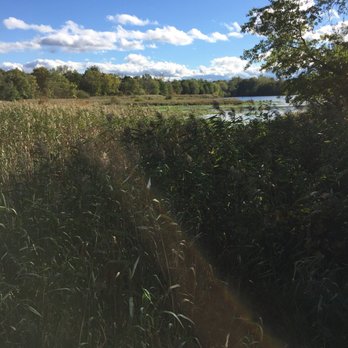 The Celery Farm - View of the pond from one of the bird blinds - Hiking Near Me - Allendale, New Jersey The Celery Farm - View of the pond from one of the bird blinds - Hiking Near Me - Allendale, New Jersey