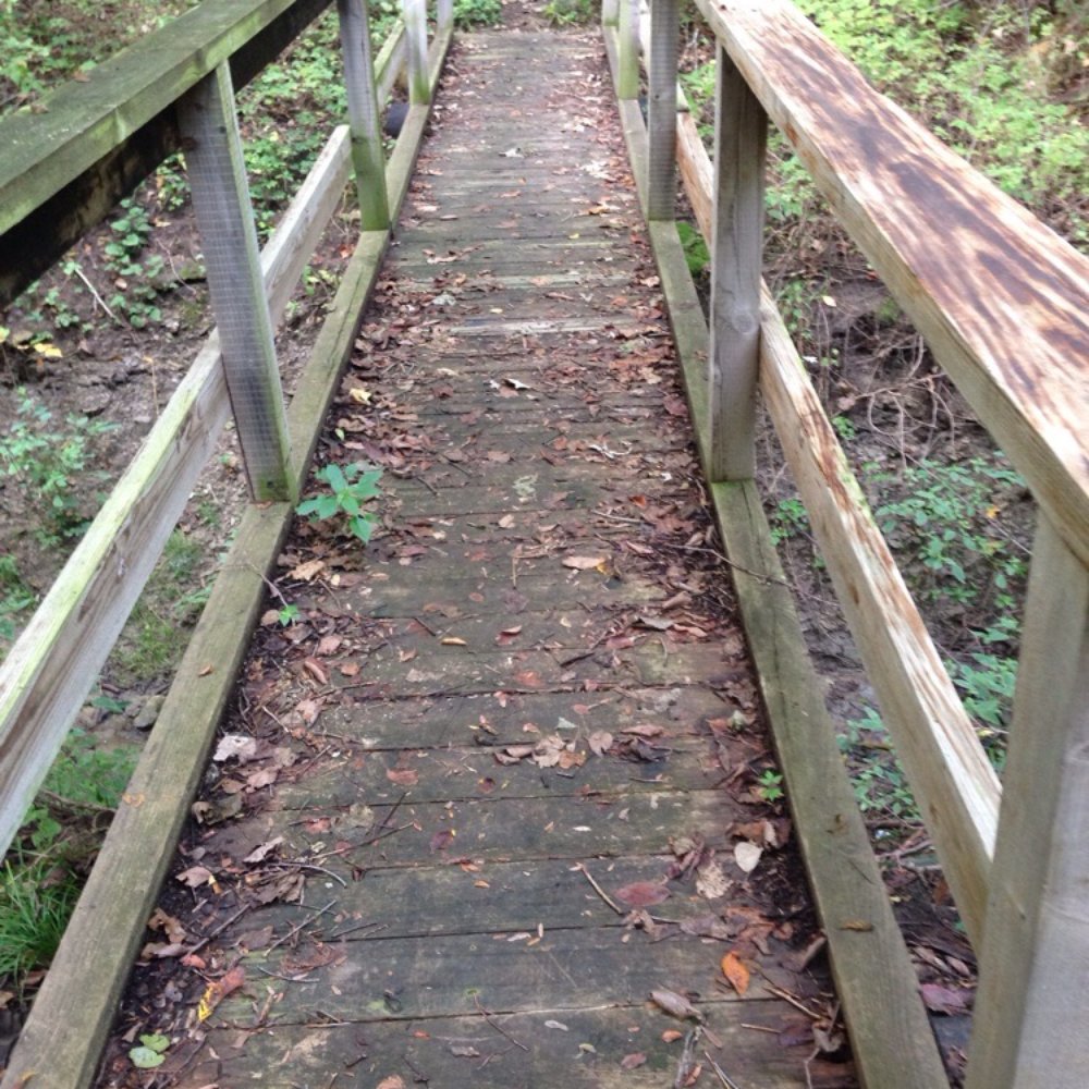 Perry State Park - Foot bridge, Old Military Trail, Perry Lake hiking - Hiking Near Me - Ozawkie, Kansas Perry State Park - Foot bridge, Old Military Trail, Perry Lake hiking - Hiking Near Me - Ozawkie, Kansas