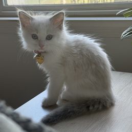 From Winter and Jasper's litter From Winter and Jasper's litter