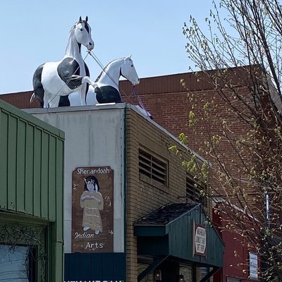 The Washboard Donut Shoppe by null