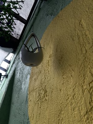 Laughing Buddha Vegetarian Bistro 福林素食 by null