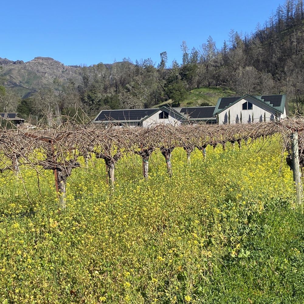 Venge Vineyards - Wineries Near Me - Calistoga, California Venge Vineyards - Wineries Near Me - Calistoga, California