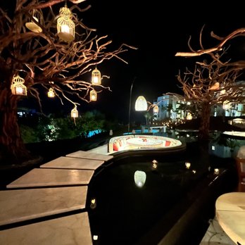 Arbol - What a sight! - Indian Near Me - San José del Cabo, BCS