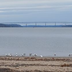 Kingston Point Beach