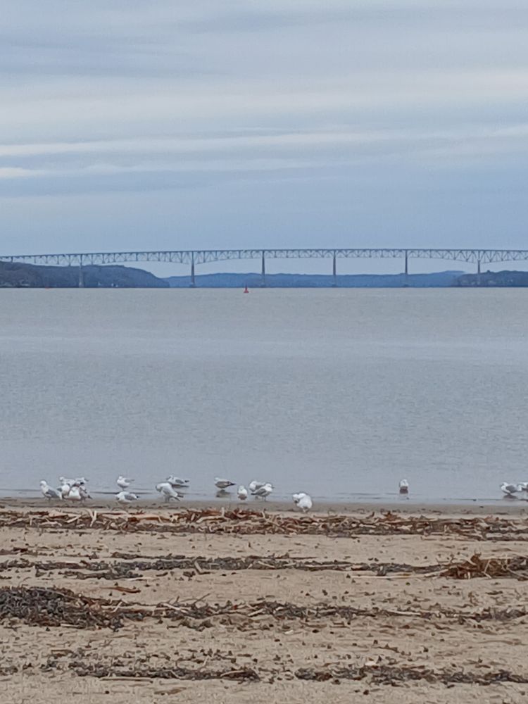 Kingston Point Beach