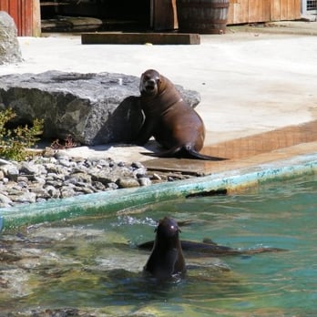 Dublin Zoo - Zoos Near Me - Dublin, D Dublin Zoo - Zoos Near Me - Dublin, D