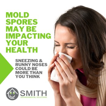 Smith Environmental Solutions - Environmental Testing Near Me - Salisbury, North Carolina