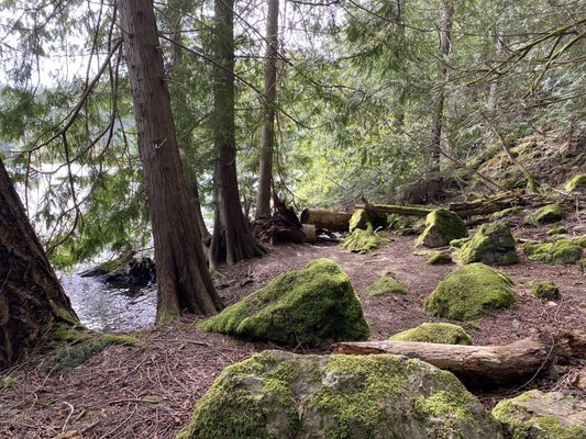 Moran State Park by null