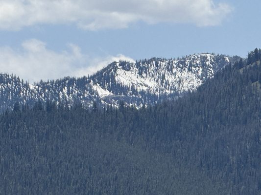 Sawtooth National Forest by null
