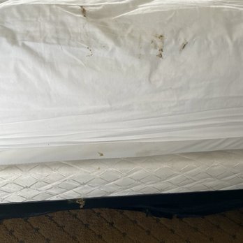 Fox Ridge Resort - Dirty sheets and box spring - Resorts Near Me - North Conway, New Hampshire