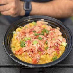 The Velvet Ditch - Lobster Mac n Cheese