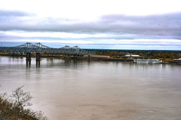 Rosalie Mansion and Gardens by null