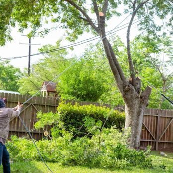 Call Albert Landscaping - two men working on a tree - Landscaping Near Me - Victoria, Texas Call Albert Landscaping - two men working on a tree - Landscaping Near Me - Victoria, Texas