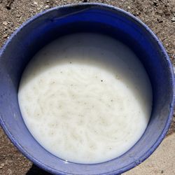 C Mart - Watery gas that we drained out of the car fuel tank