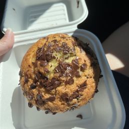 Chocolate chip muffin (warmed up and melty!)