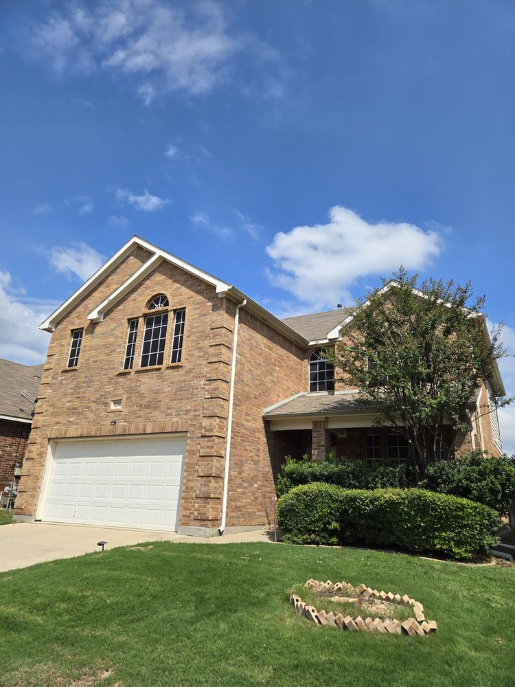 Neon Monkey Services - tree service in Fort Worth, TX