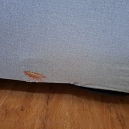 Broken 5x7 frame in 3 places. Paid for for new couch a.d they want to repair this one. No way not what I paid for. Broken 5x7 frame in 3 places. Paid for for new couch a.d they want to repair this one. No way not what I paid for.
