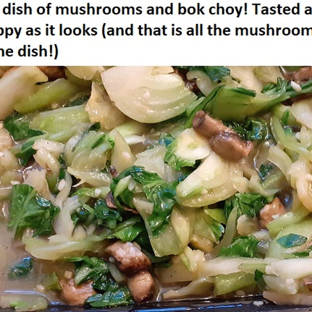 Thai Manao - Mushroom and bok choy in garlic sauce. A terrible dish - Thai Near Me - Fredericton, New Brunswick