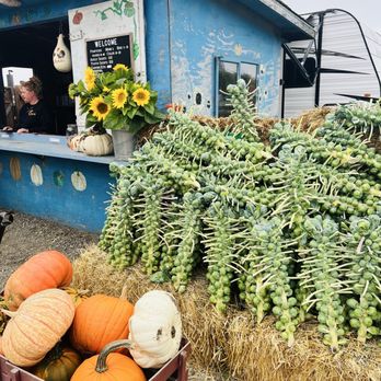 Farmer John's Pumpkin Farm - Pumpkin Patches Near Me - Half Moon Bay, California Farmer John's Pumpkin Farm - Pumpkin Patches Near Me - Half Moon Bay, California