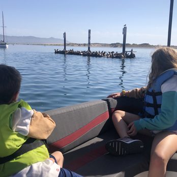 Estero Adventures - Kids must where a life-vest. So many sea lions!!! - Boating Near Me - Morro Bay, California Estero Adventures - Kids must where a life-vest. So many sea lions!!! - Boating Near Me - Morro Bay, California