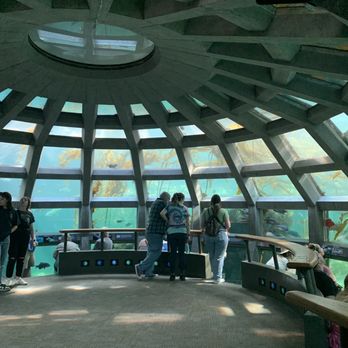 Seattle Aquarium - Panoramic area - Aquariums Near Me - Seattle, Washington