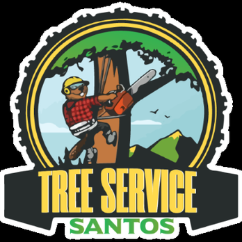 Normantorr Tree Service - Tree Services Near Me Normantorr Tree Service - Tree Services Near Me
