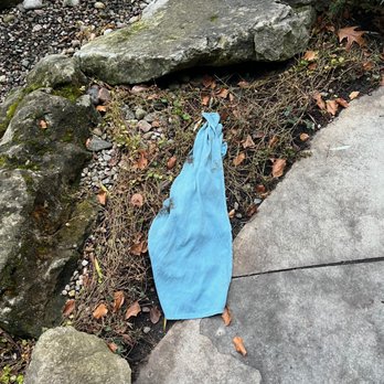Sunnyside Window & Eaves Cleaning - Home Cleaning Near Me - Toronto, Ontario