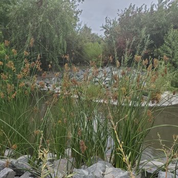 San Joaquin Marsh Wildlife Sanctuary - Parks Near Me - Irvine, California San Joaquin Marsh Wildlife Sanctuary - Parks Near Me - Irvine, California