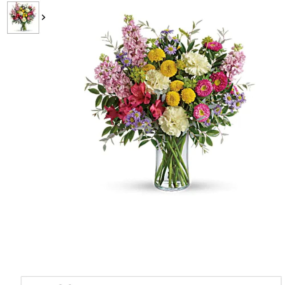 Johnson's Gardens - What I ordered - Florists Near Me - Suffolk, Virginia Johnson's Gardens - What I ordered - Florists Near Me - Suffolk, Virginia
