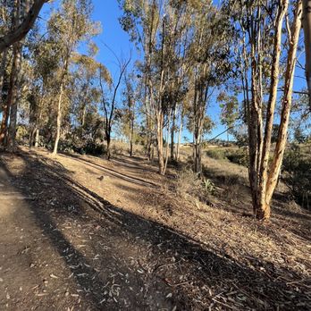 Hoyt Park - Parks Near Me - San Diego, California Hoyt Park - Parks Near Me - San Diego, California