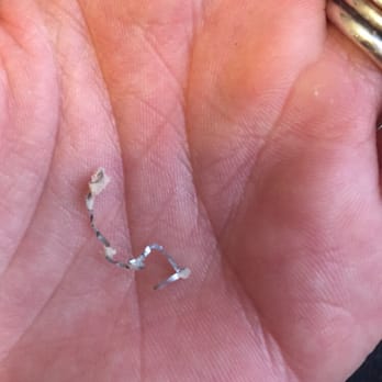 Taqueria Uptown - I found this in my Enchiladas. No Bueno. - Mexican Near Me - Chicago, Illinois Taqueria Uptown - I found this in my Enchiladas. No Bueno. - Mexican Near Me - Chicago, Illinois
