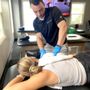 ProClinix Sports Physical Therapy & Chiropractic