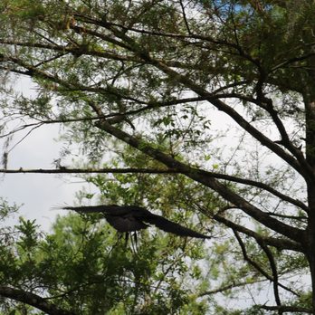 Big Cypress Bend Boardwalk - Parks Near Me - Naples, Florida