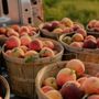 Photo of Folks Farm And Market