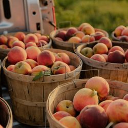 Folks Farm And Market