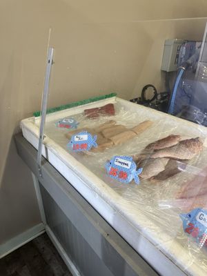Shrimp City - Seafood & Bait by null
